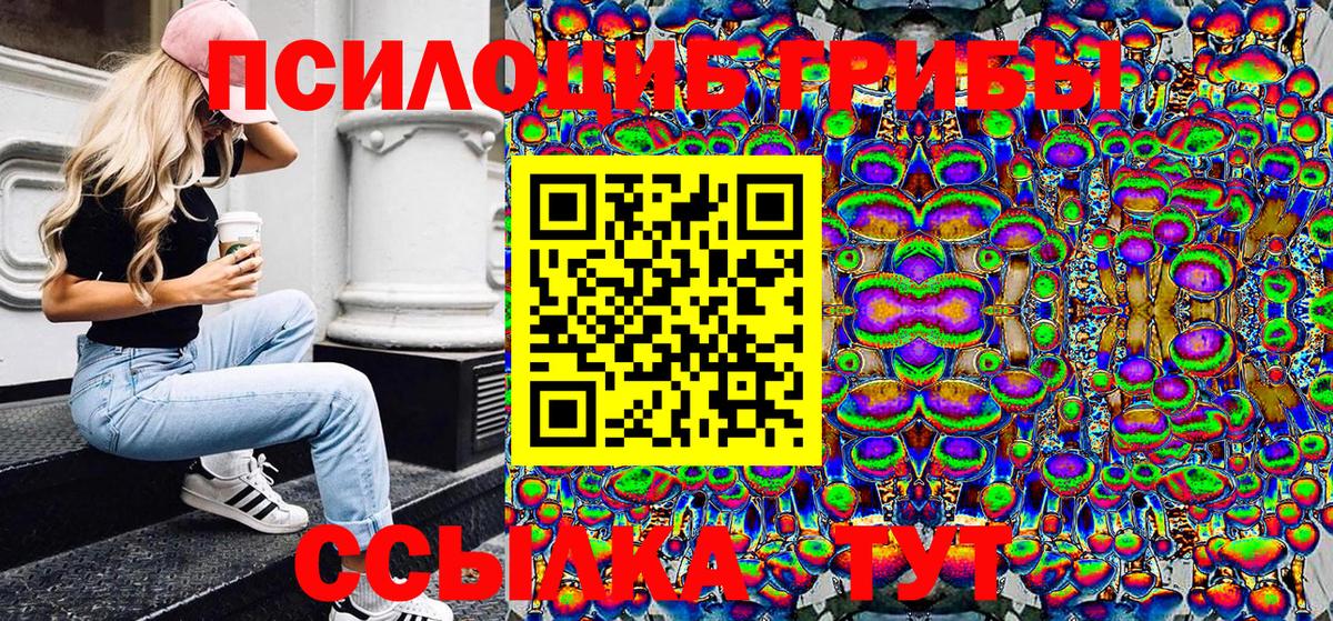 Псилоцибиновые грибы Cubensis  Псилоцибиновые грибы Psilocybe  Вход с VPN  Отрадное 