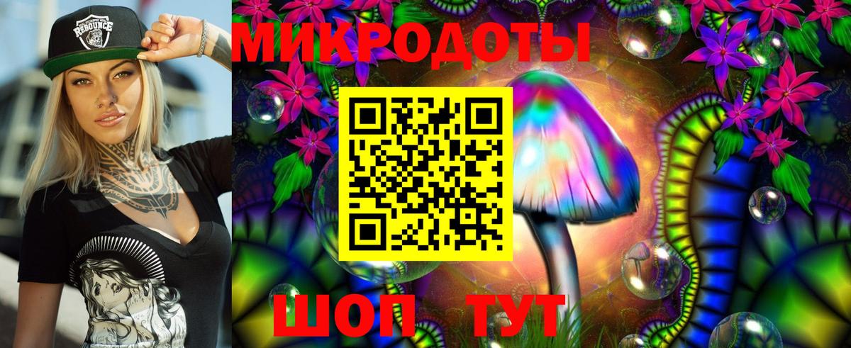 Псилоцибиновые грибы Psilocybine cubensis Отрадное